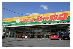 ショッピングセンター　ディスカウントセンター ジャパン 平野加美店（ショッピングセンター）まで400m