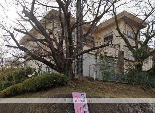 小学校　大分市立桃園小学校（小学校）まで1080m