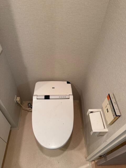 トイレ　トイレも気になるポイント