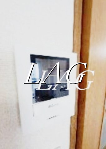 セキュリティ　モニター付インターホンです。