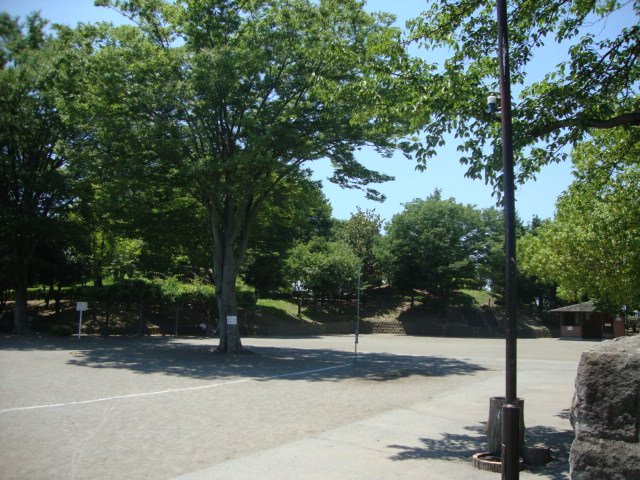 その他　六郷公園（その他）まで536m