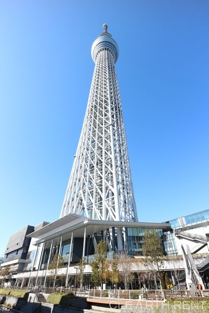 その他　東京スカイツリー(R)（その他）まで1943m