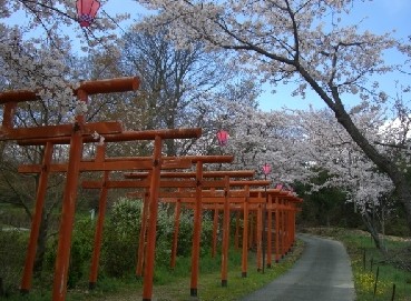公園　高稲荷公園（公園）まで1000m