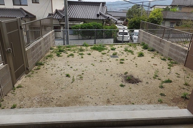 庭