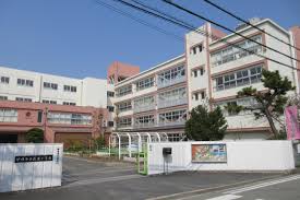 小学校　伊丹市立花里小学校（小学校）まで745m