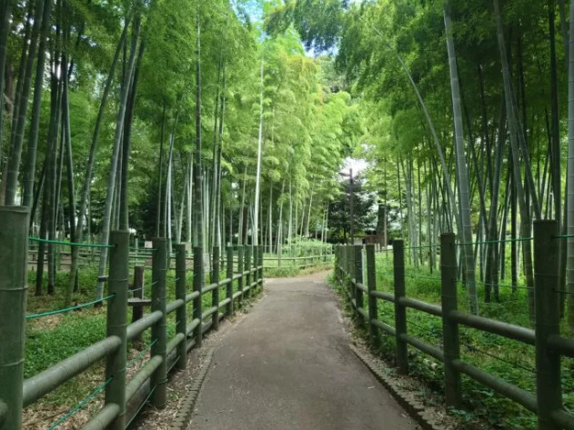 公園　すずめのお宿緑地公園（公園）まで1203m