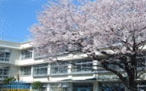 小学校　王子第三小学校（小学校）まで1217m