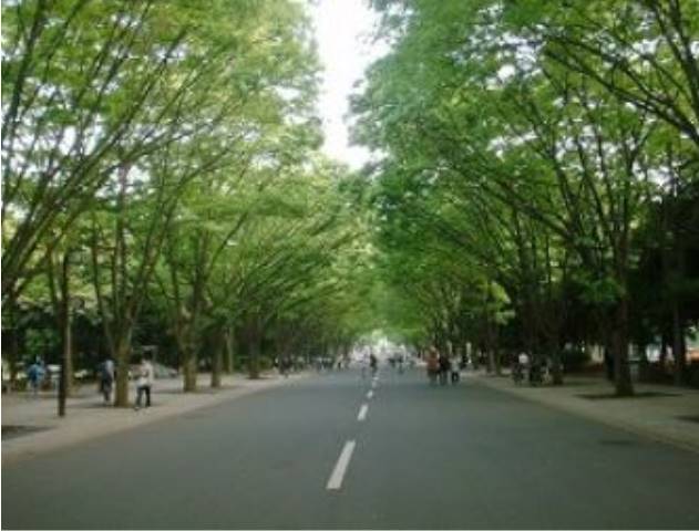 その他　東海大学（その他）まで2803m