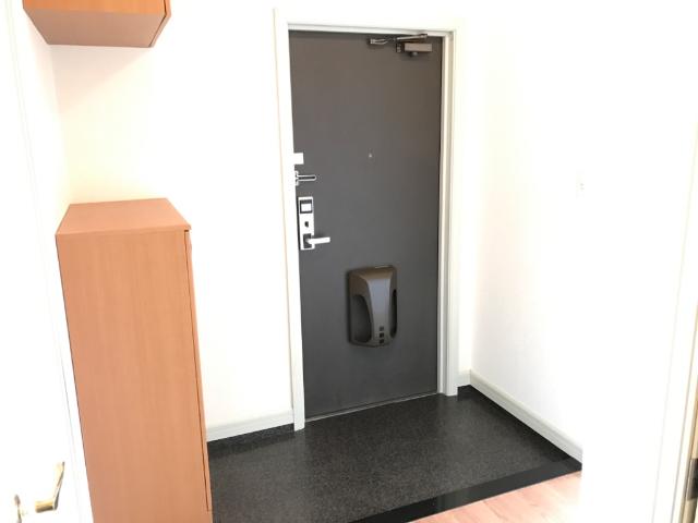 玄関　玄関