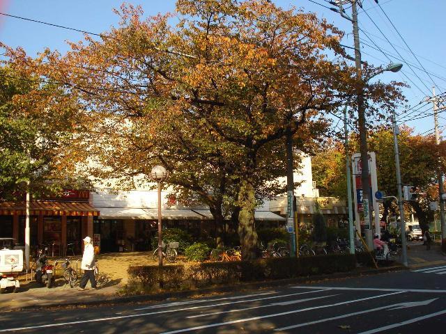 その他　大丸ピーコック国立さくら通り店（その他）まで378m