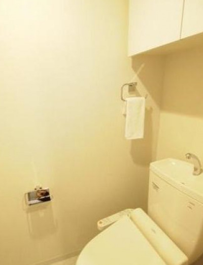 都営大江戸線 赤羽橋駅 徒歩3分 11階建 築16年のトイレ写真