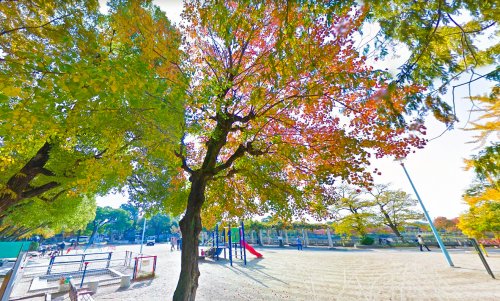公園　万代池公園（公園）まで342m