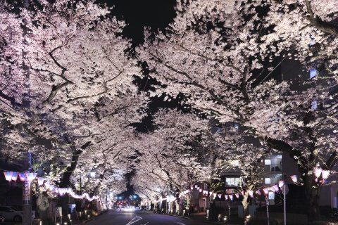 N-stage久米川の周辺写真