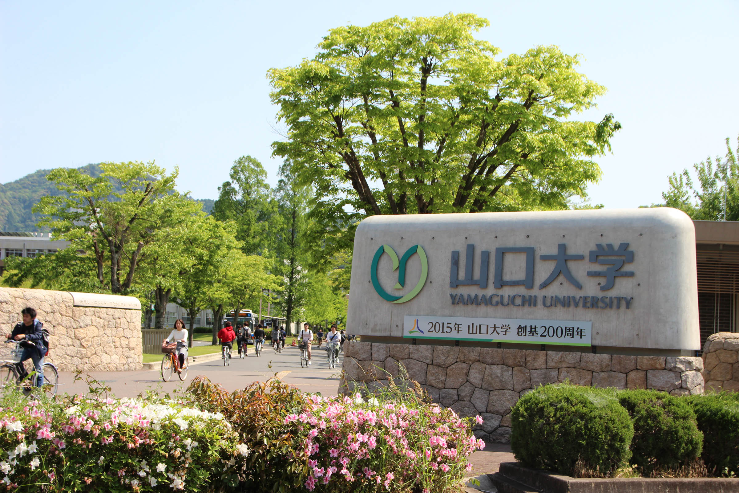 大学・短大　国立山口大学（大学・短大）まで2457m