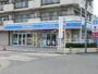 コンビニ　ローソン H文蔵店（コンビニ）まで300m