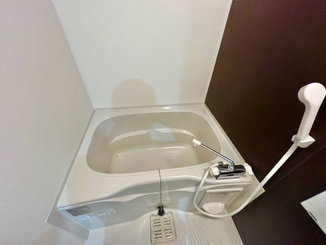 ヴェルデュールの風呂写真