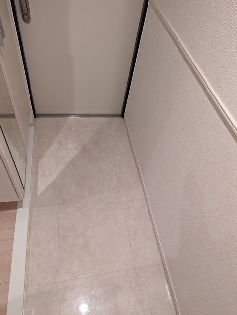 Vell Shine 穂の玄関写真