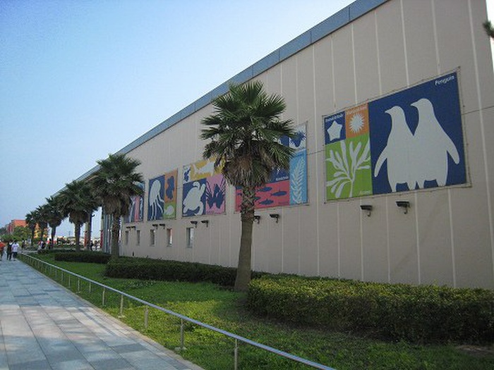 その他　新江ノ島水族館（その他）まで491m