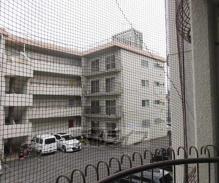 関生ハイツのその他写真