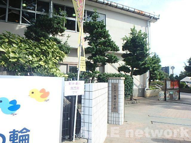 小学校　熊本市立白坪小学校（小学校）まで1224m