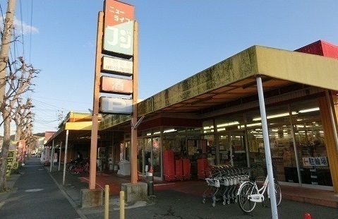 スーパー　ニューライフフジ岩田店（スーパー）まで994m