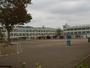 小学校　入間市立金子小学校（小学校）まで899m