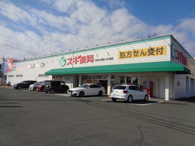 ドラックストア　スギ薬局本野ケ原店（ドラッグストア）まで753m