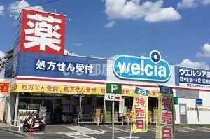 【飯能市大字双柳のアパートのドラックストア】