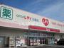 ドラックストア　くすりのレデイ 北島店（ドラッグストア）まで2337m