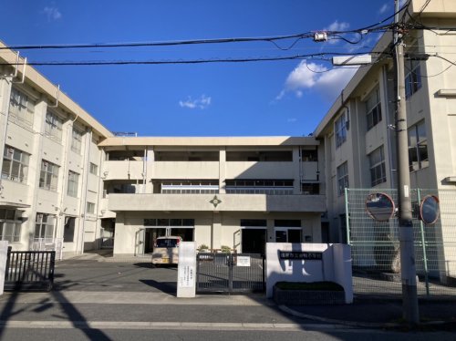小学校　橿原市立金橋小学校（小学校）まで504m