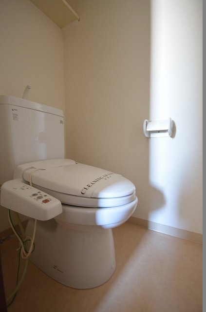 トイレ　同物件、別号室のものです。