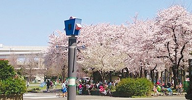 公園　蒔田公園（公園）まで412m