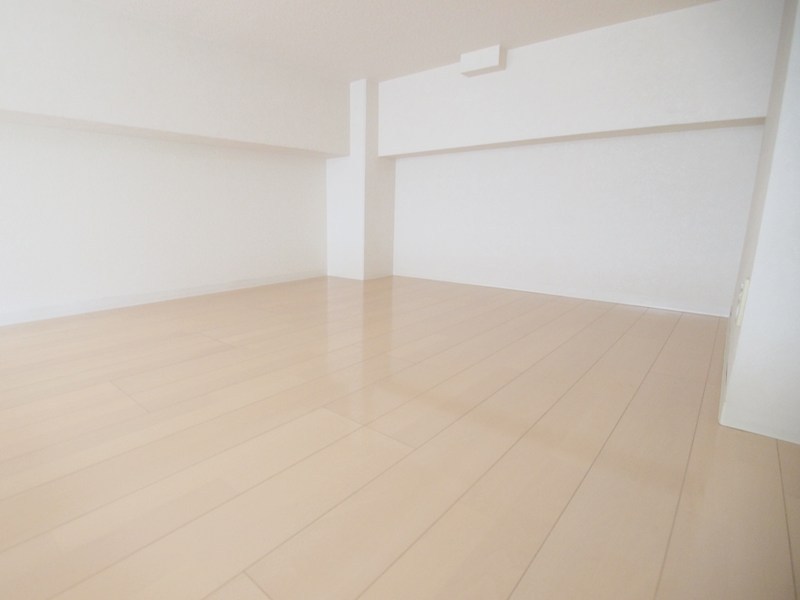 その他部屋・スペース　ロフト付★上層階の空きです。