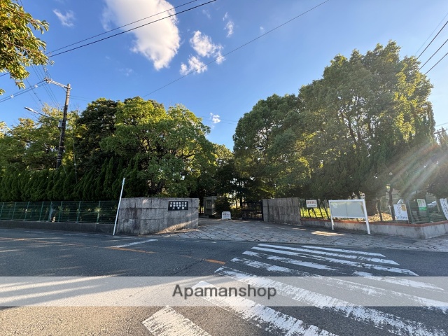 大学・短大　大阪歯科大学医療保険学部（大学・短大）まで492m