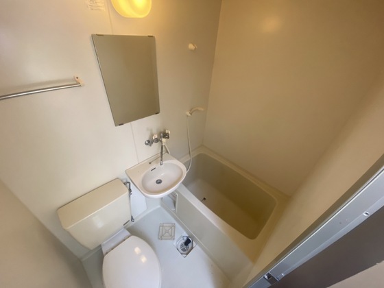 バス・シャワールーム　※別部屋の写真です