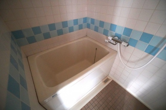 バス・シャワールーム　※別部屋の写真です