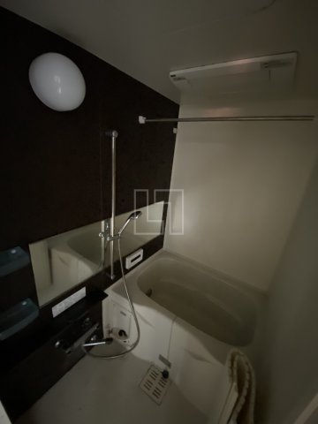 バス・シャワールーム　プレサンス堺筋本町フィリア　浴室