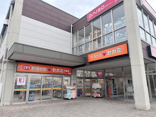 ドラックストア　ドラッグセガミ井堀店（ドラッグストア）まで614m