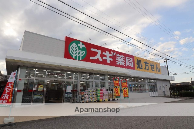 ドラックストア　スギ薬局　富山小杉店（ドラッグストア）まで799m