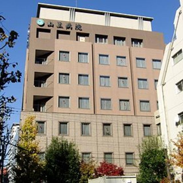 病院　医療法人社団翠明会山王病院（病院）まで995m