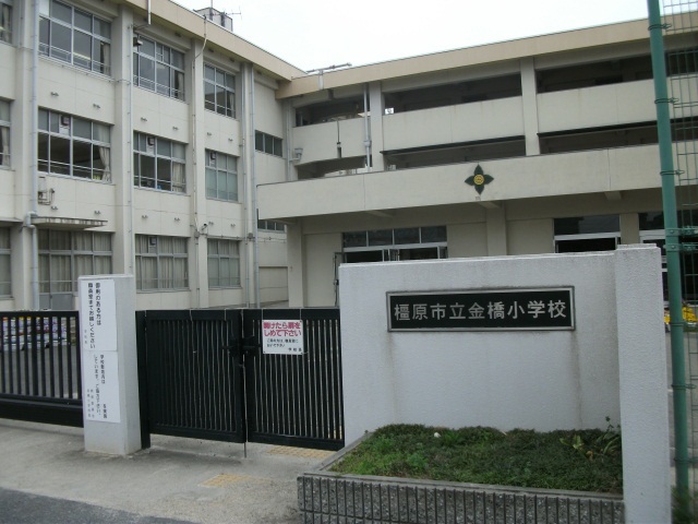 小学校　橿原市立金橋小学校（小学校）まで270m