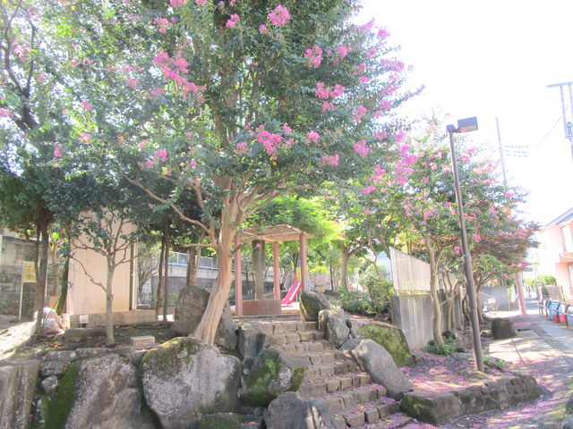 その他　ふじ公園（その他）まで110m