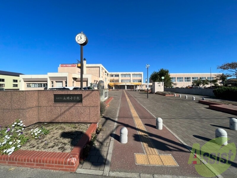 小学校　札幌市立丘珠小学校（小学校）まで564m