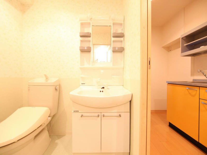 洗面設備　脱衣所　独立洗面台（シャンプードレッサー付）収納スペース有