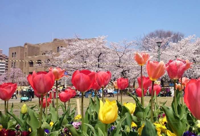 公園　鶴舞公園（公園）まで1812m