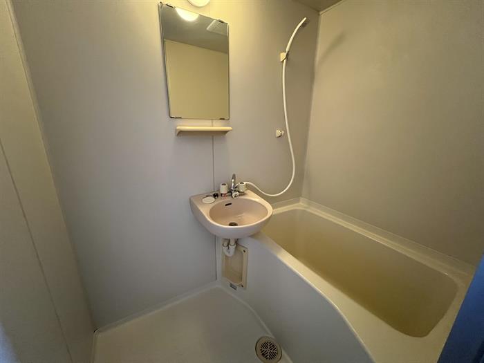 バス・シャワールーム　洗面台ついています。