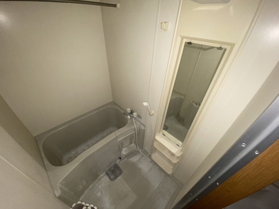 バス・シャワールーム　※別部屋の写真です