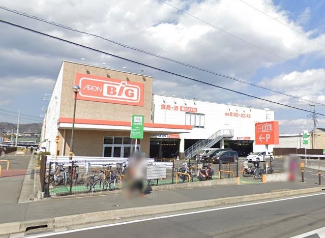 スーパー　ザ・ビック平塚（スーパー）まで1004m