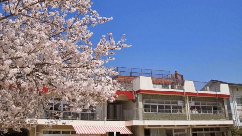 幼稚園・保育園　守山幼稚園（幼稚園・保育園）まで908m