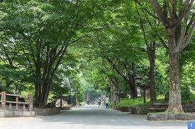 公園　氷川緑地（公園）まで73m